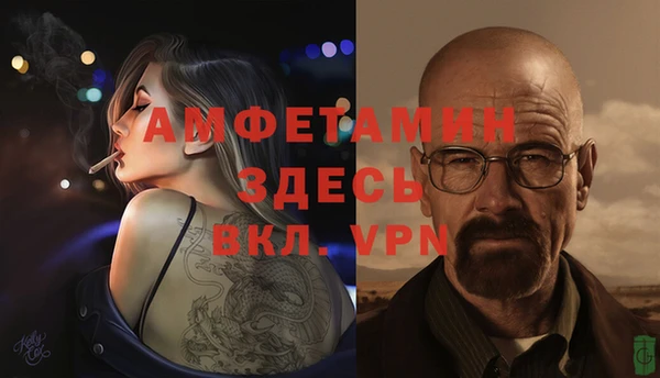 PSILOCYBIN Инсар