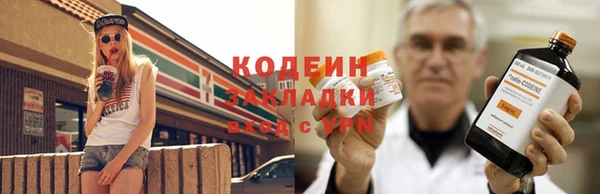 бошки Иннополис