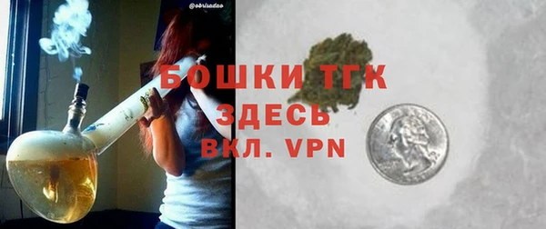PSILOCYBIN Инсар