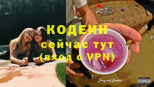 PSILOCYBIN Инсар