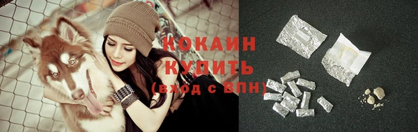 PSILOCYBIN Инсар