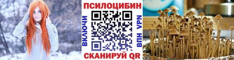 Галлюциногенные грибы GOLDEN TEACHER  Чистополь 