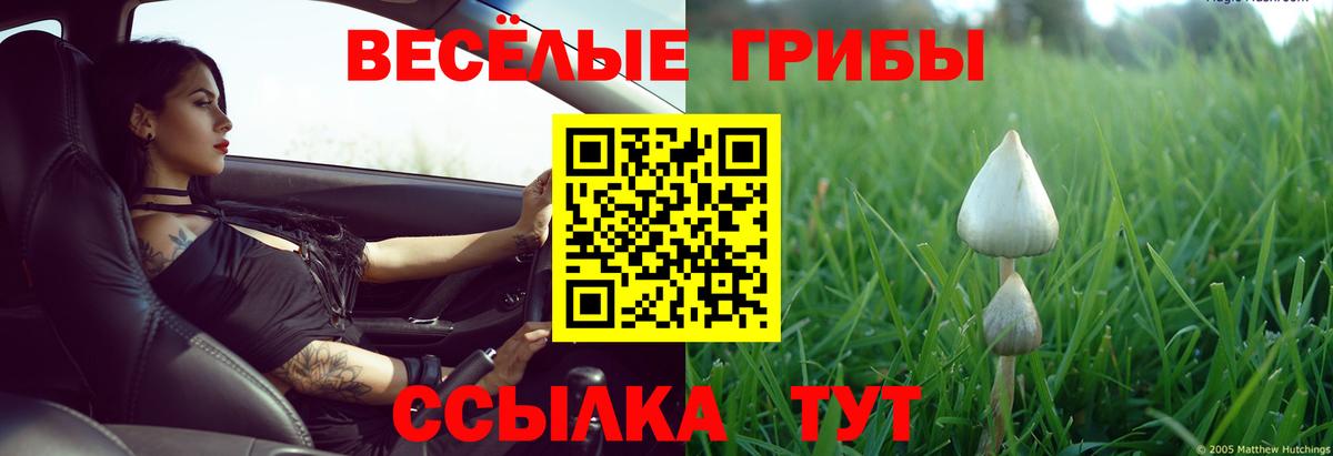 Чистополь  Галлюциногенные грибы мухоморы  Вход с VPN 