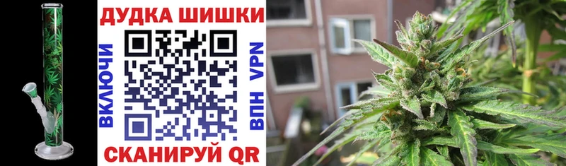 Канабис план  Чистополь 